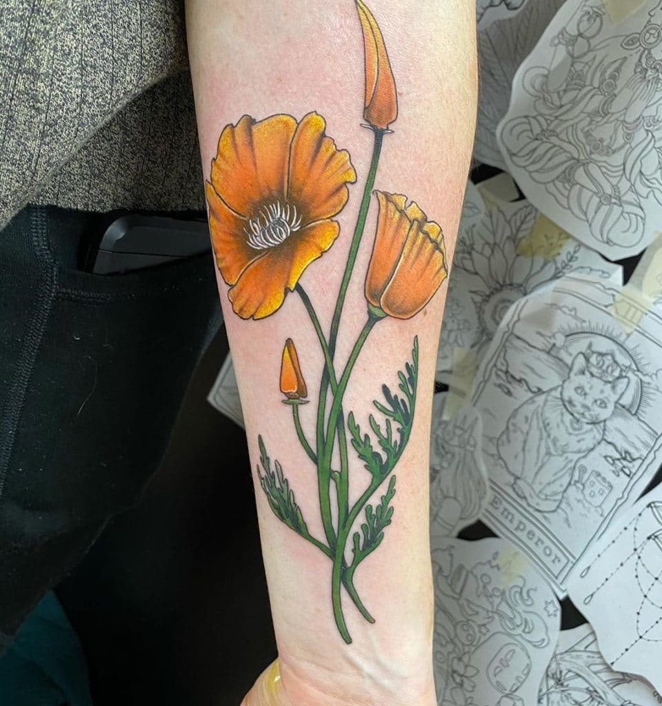 poppy tattoo