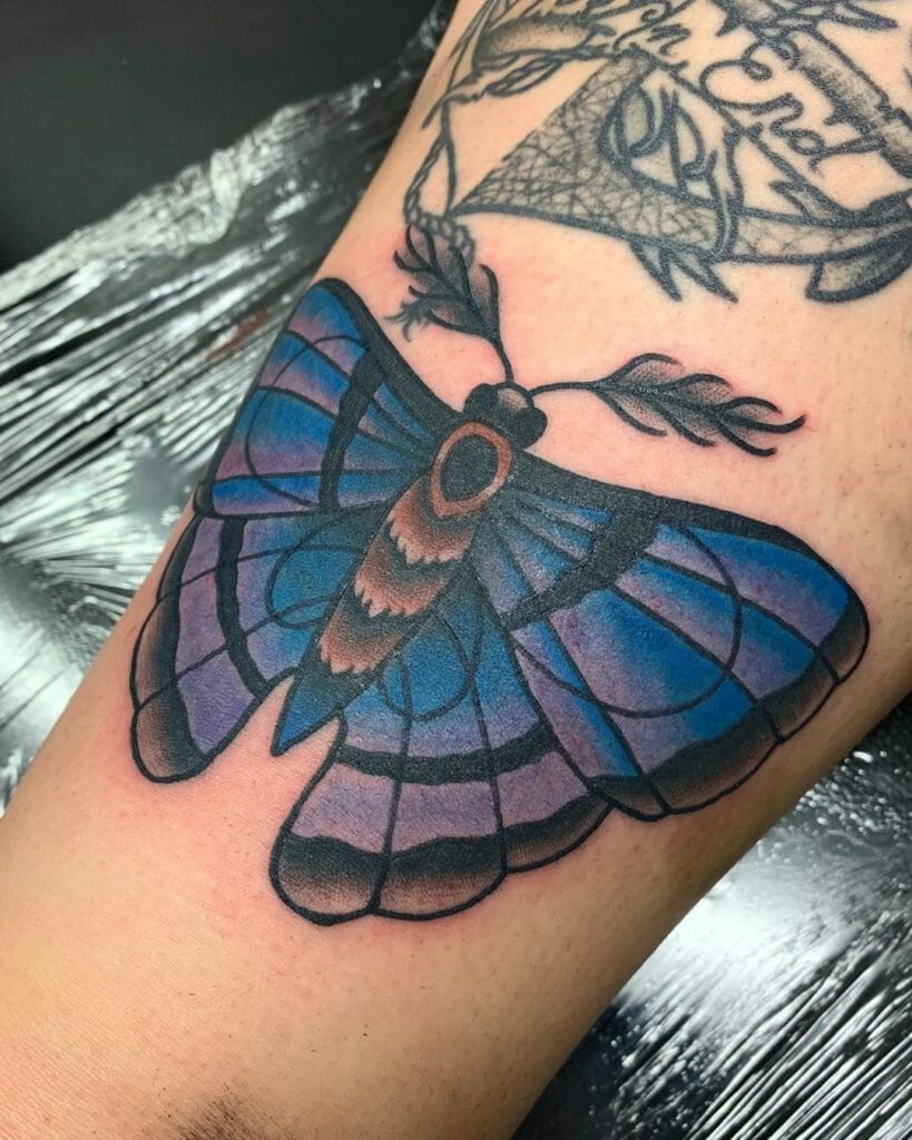 moth tattoo