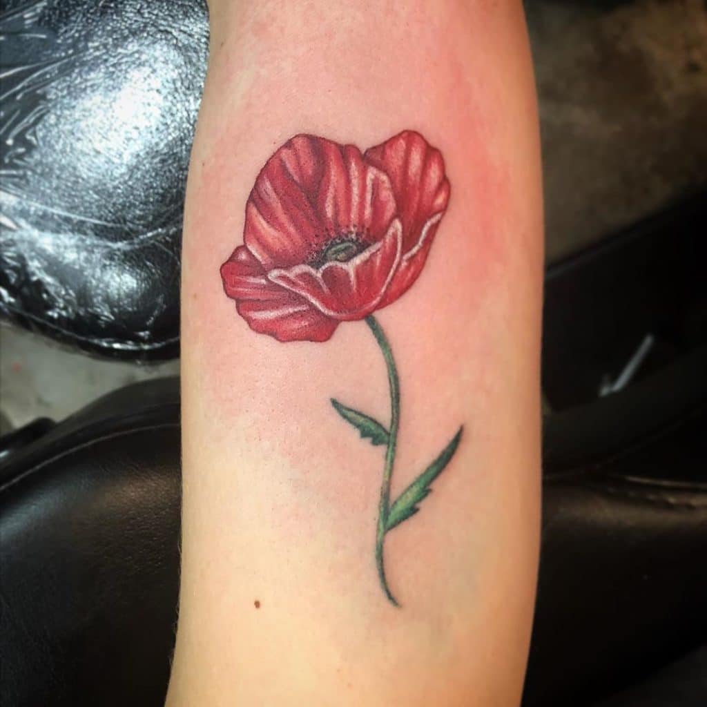 poppy tattoo