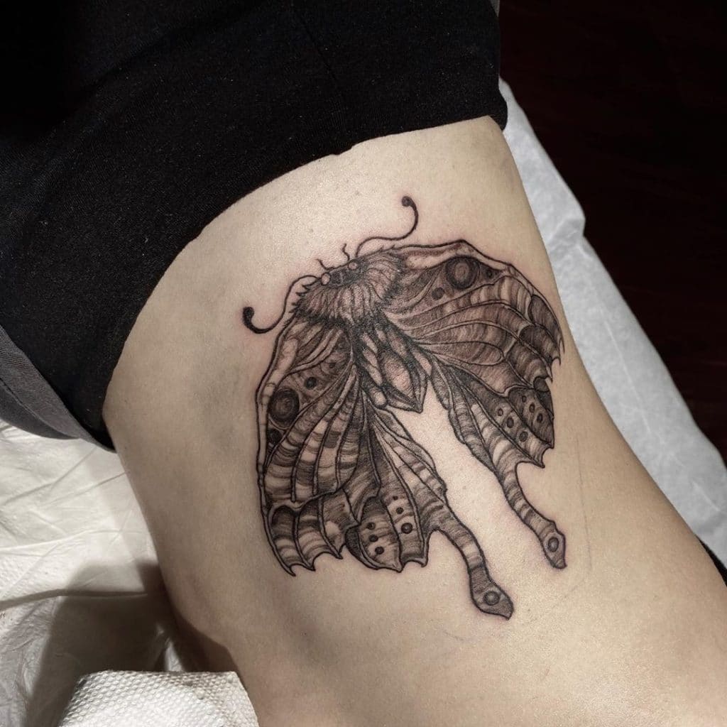 moth tattoo