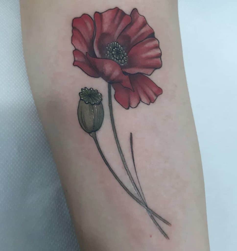 poppy tattoo