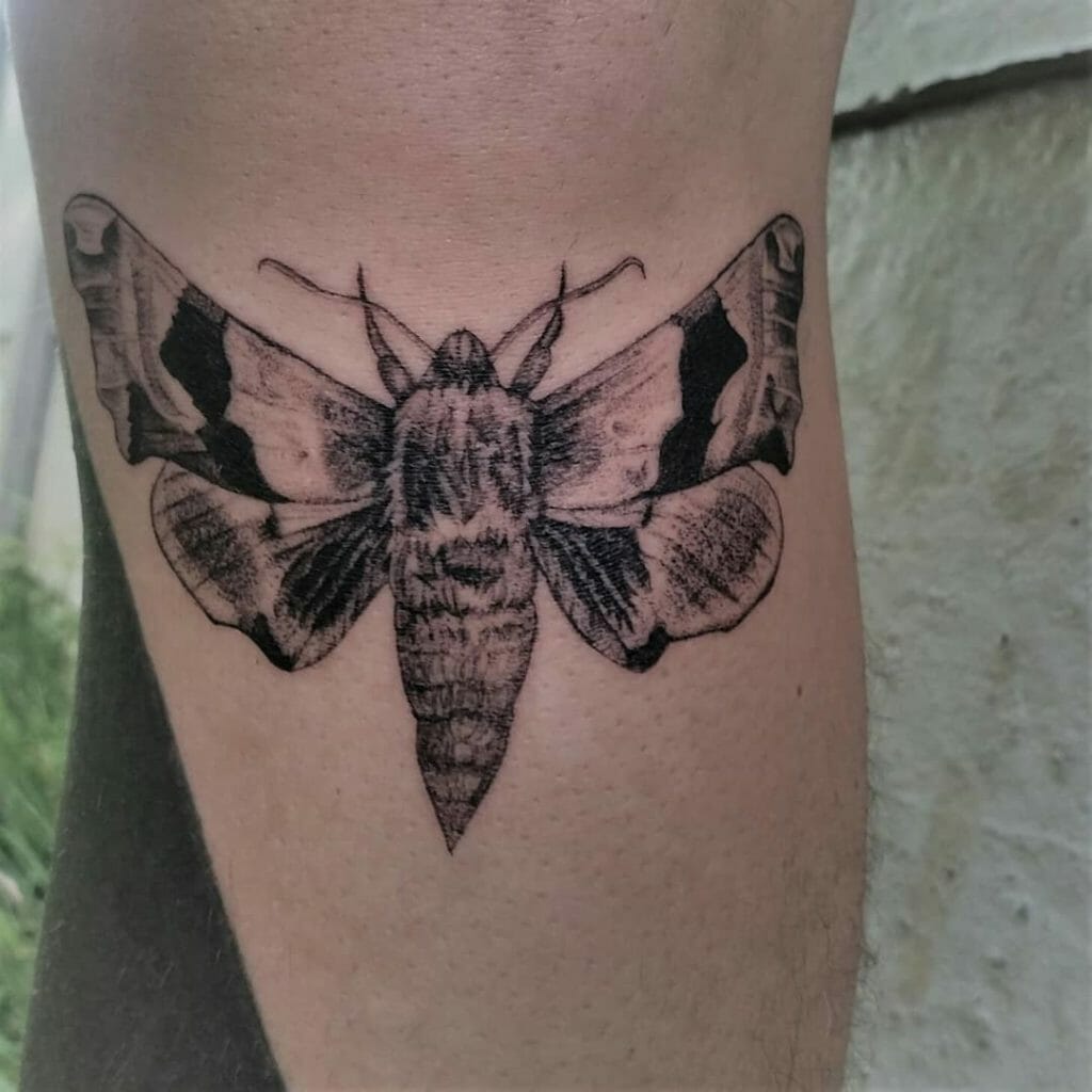 nature tattoos