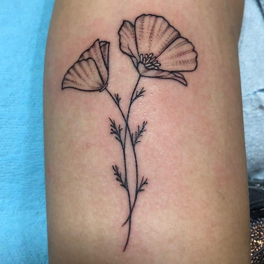 poppy tattoo