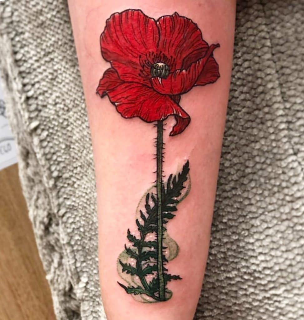 poppy tattoo