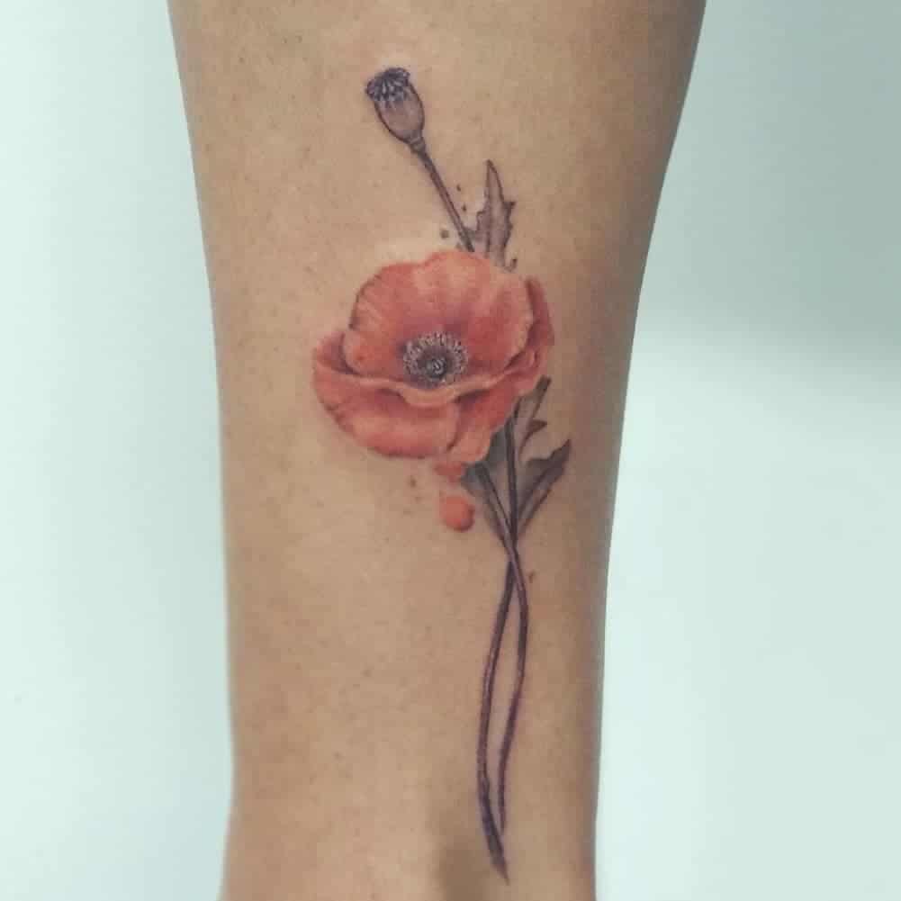 poppy tattoo