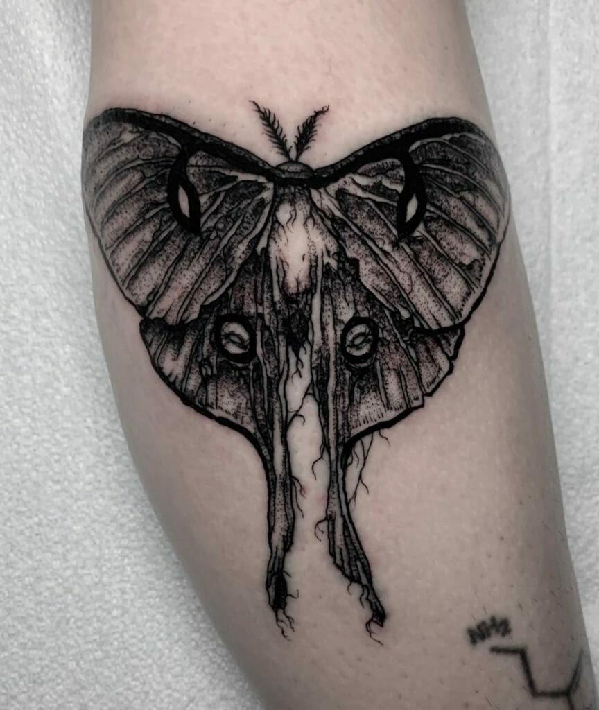 2020 09 16 00.00.55 2398853606592000832 lunamothtattoo Tattoo Ideas