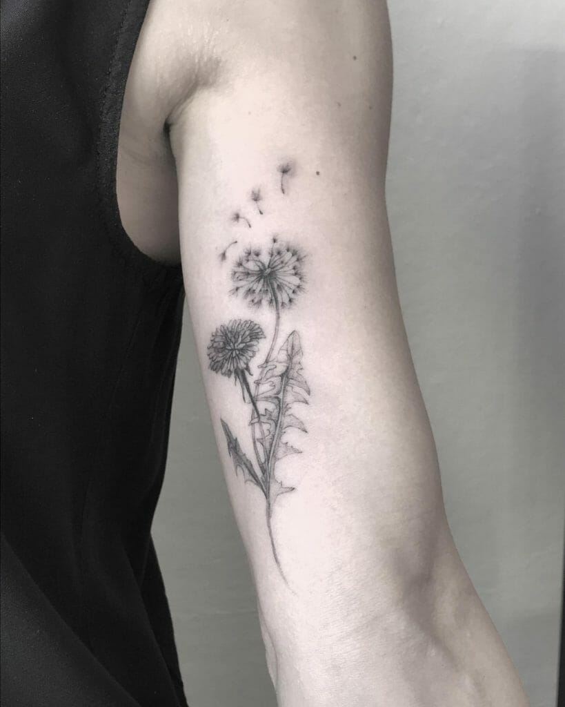 Dandelion Tattoo