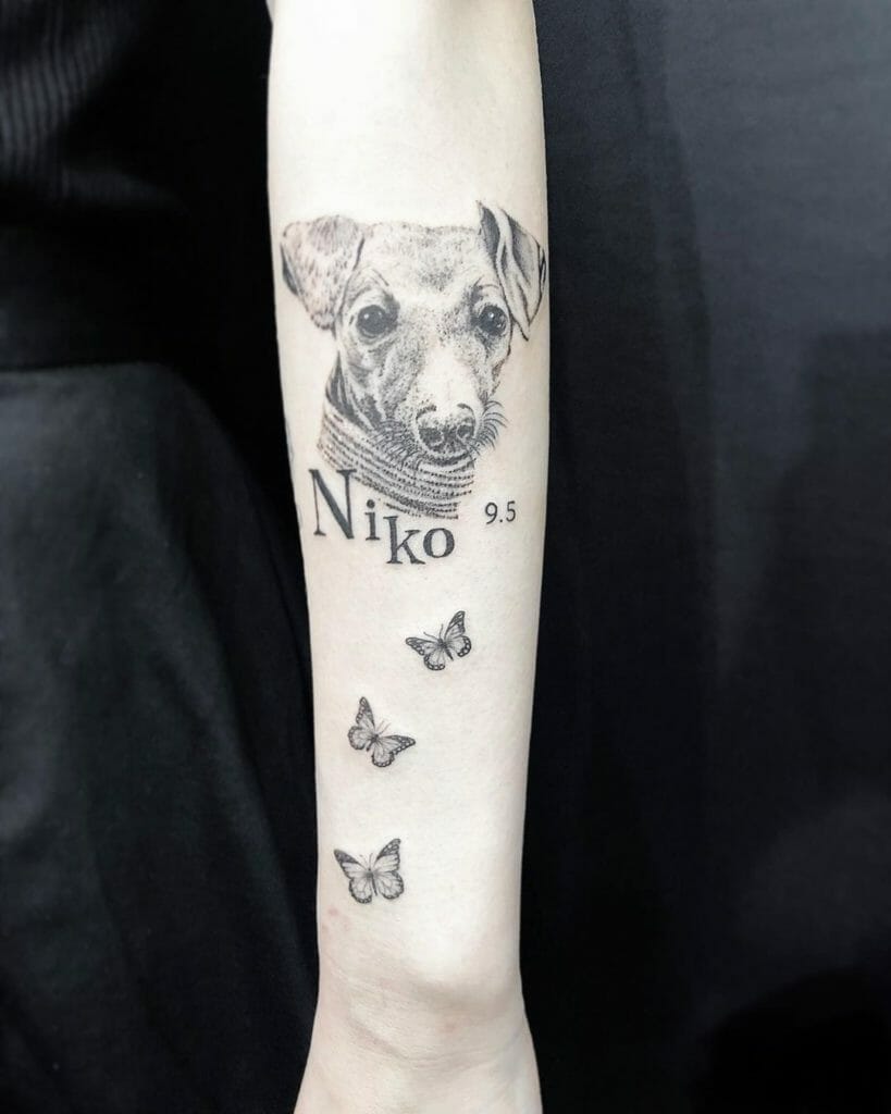 A Dog With Butterfly Tattoo Small Designs