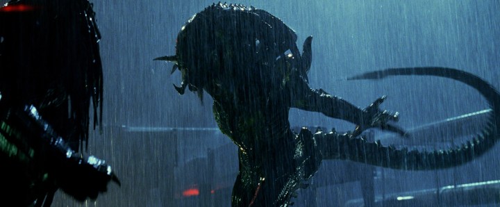 A Predalien squares up against a Predator in Aliens vs Predator: Requiem