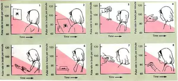 Associative Learning