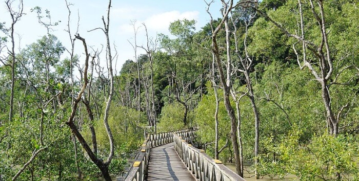 Bako National Park1