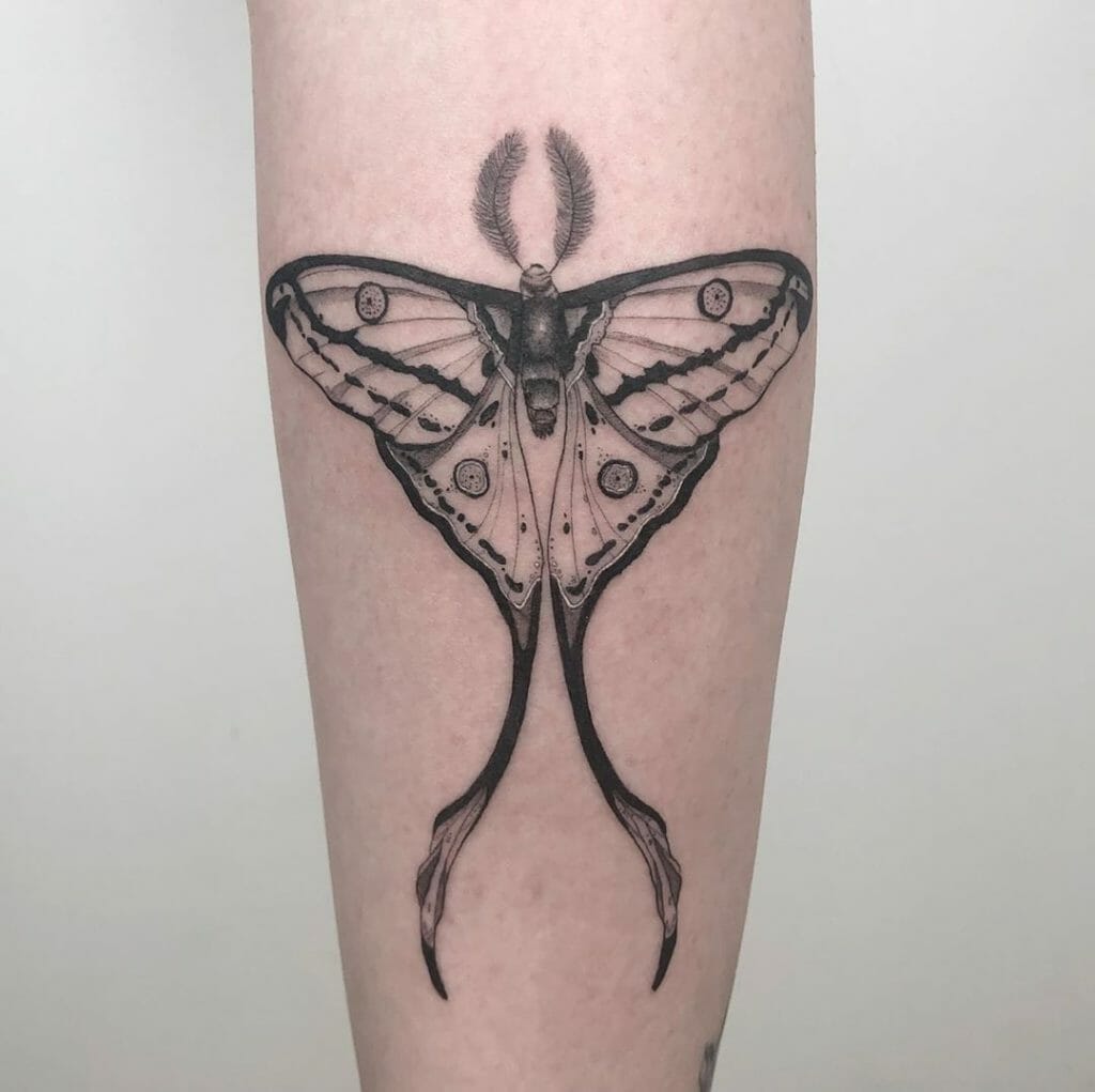 Black and White Ink luna Moth Tattoo Tattoo Ideas