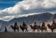 Camel ride in Nubra valley1