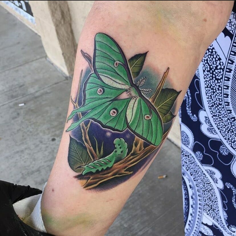 Caterpillar and Luna Moth Tattoo Night Scene