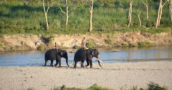 Darjeeling Wildlife1