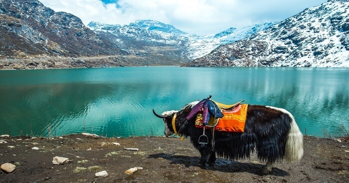 Gangtok in