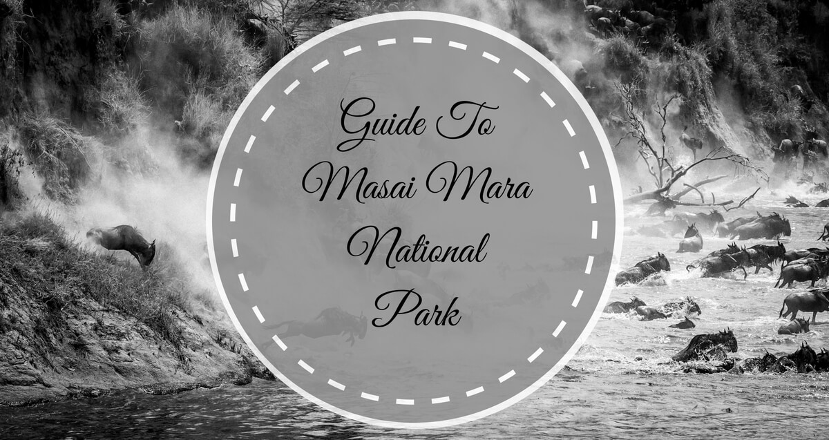 Guide To Masai Mara National Park 1