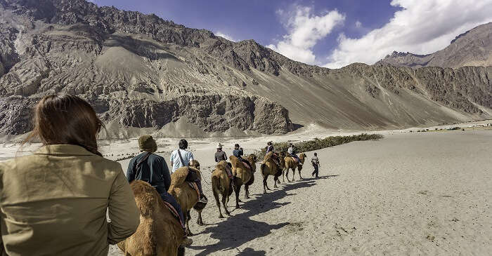 Leh To Nubra OG