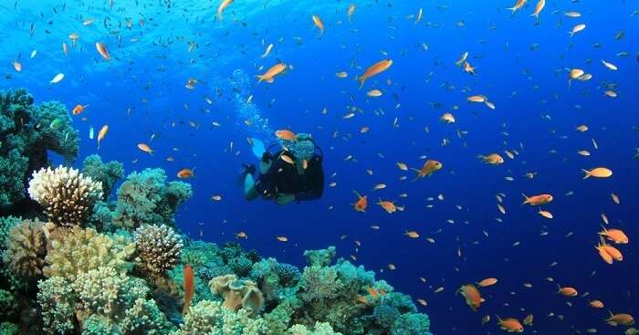 OG for Scuba diving in Kerala