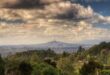 OG for Waitakere Ranges Regional Park