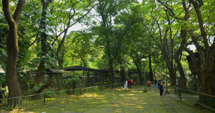 Phnom Tamao Wildlife Rescue Center og 22nd oct