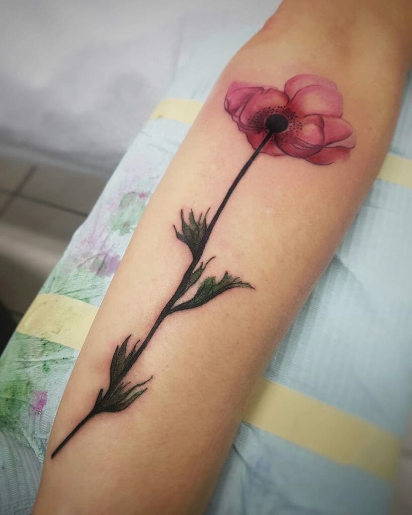 Poppy tattoos