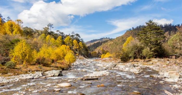 Sakteng Wildlife Sanctuary