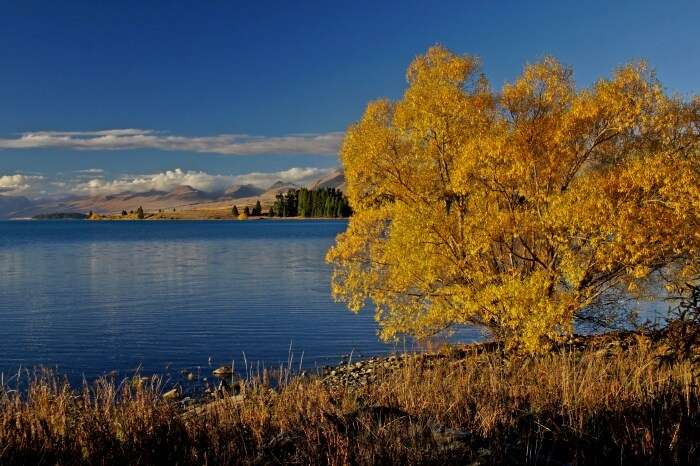 Weather In New Zealand In Autumn