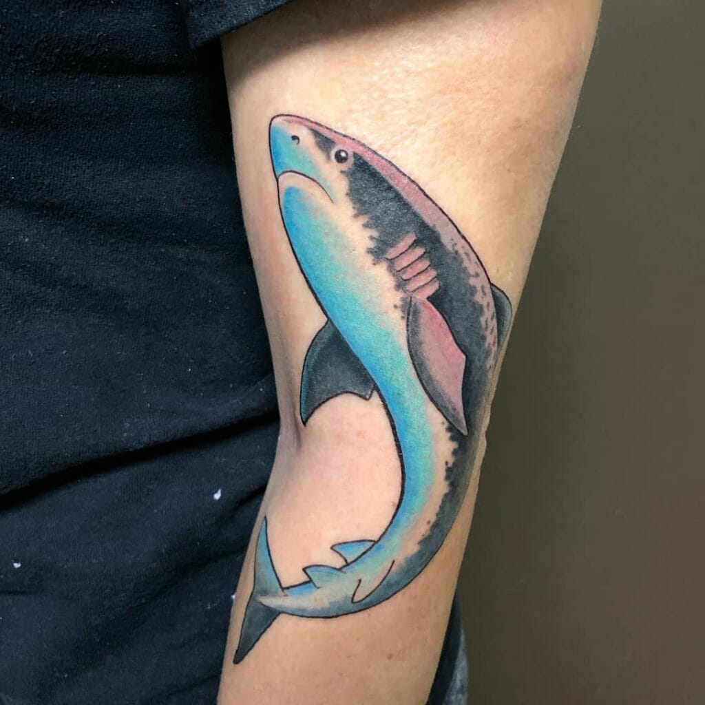 Shark Tattoo Design