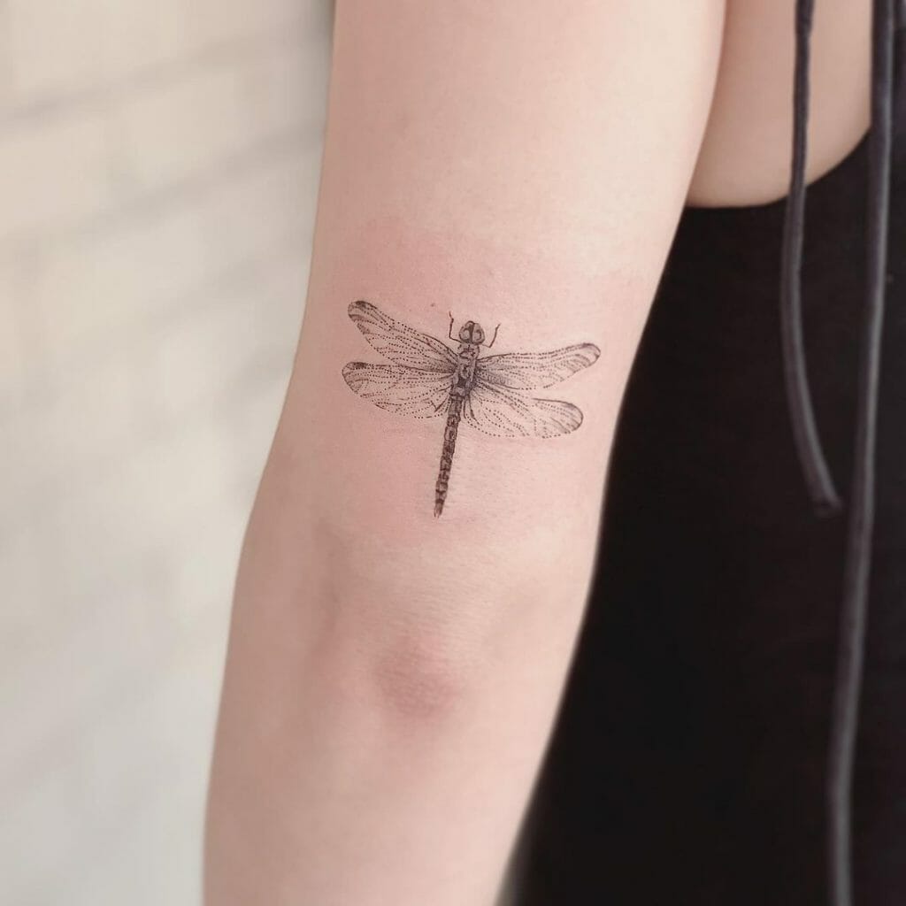 Small Dragonfly Tattoo