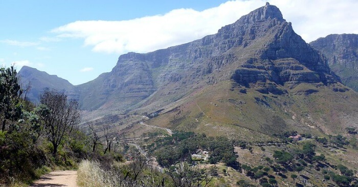 Table Mountain National Park1