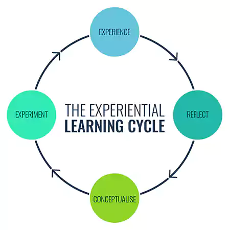 The Experiential Learning Cycle