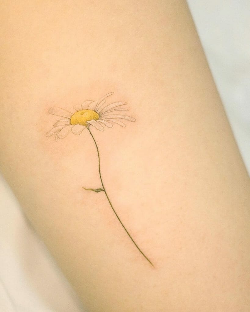 A minimalist daisy flower tattoo with a thin green stem and delicate white petals surrounding a yellow center, inked on pale skin