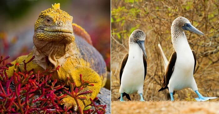 Galapagos National Park