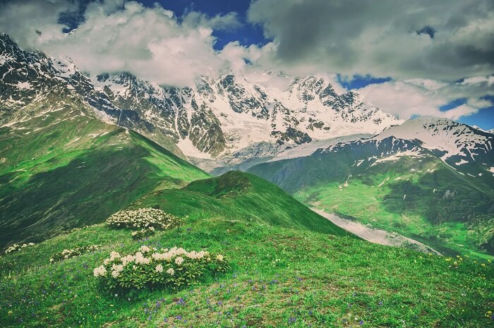 hill stations near dehradun shutterstock