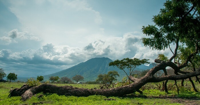 national parks indonesia cover image1