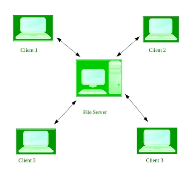 Network Operating System