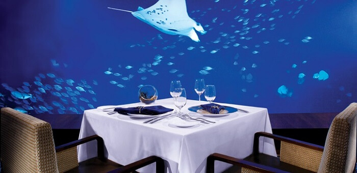 ocean restaurant