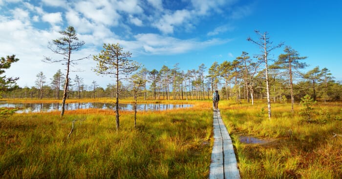 og for National Parks In Estonia