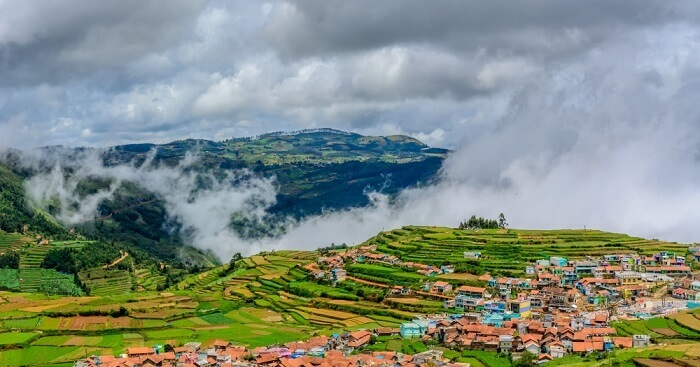 og for ooty in monsoon