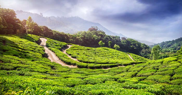 og for parks in munnar