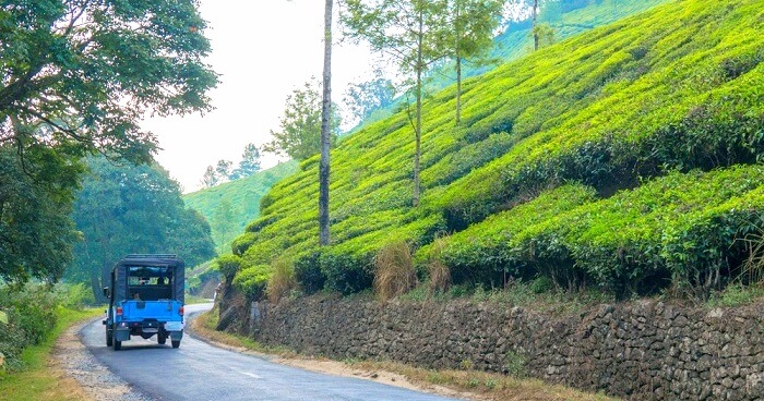 og for places near kumarakom