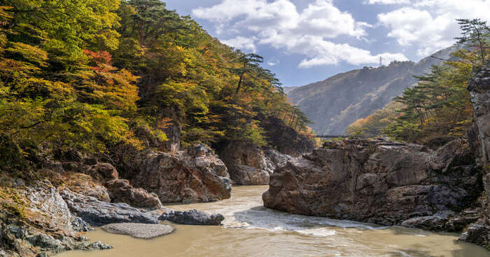 og of Tokyo National Parks