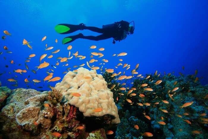 scuba diving naples