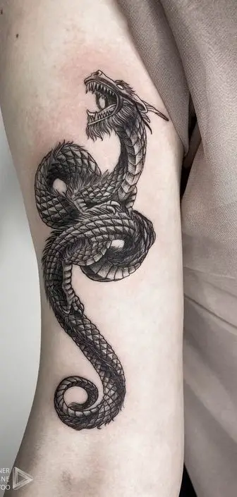 Medieval Dragon Tattoo