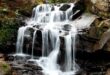 Waterfalls In Darjeeling OG