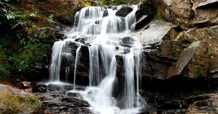 Waterfalls In Darjeeling OG