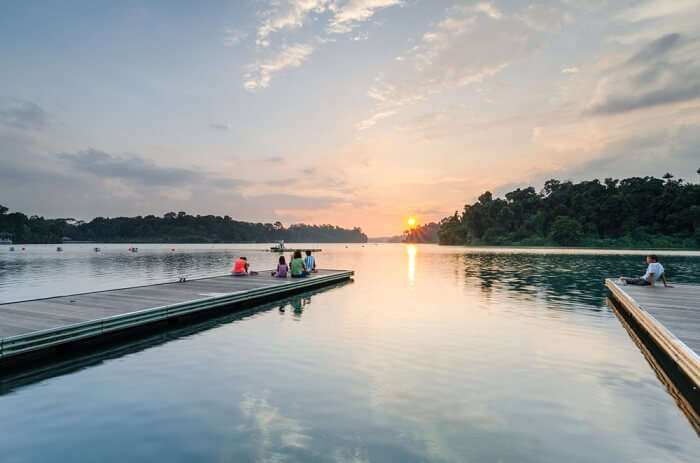 Amazing macritchie park