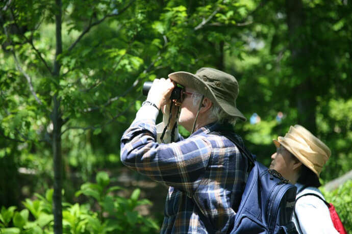 Enjoying bird watching