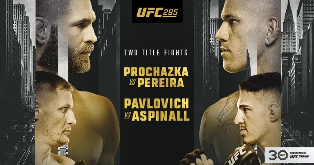 ufc 295 promo poster